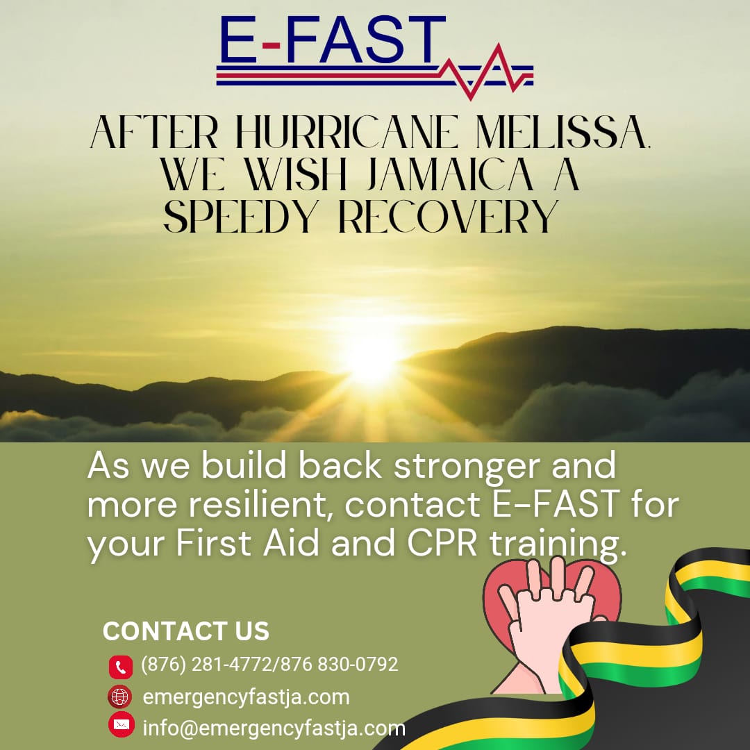 Recent E-Fast Training Session August 2025